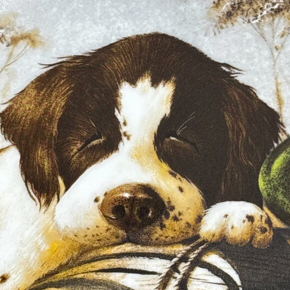 Vintage Edwin M. Knowles Field Puppies Collector Plate Springer Spaniel Dog - Picture 7 of 11